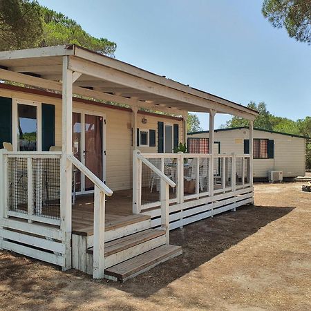 Camping Village S'Ena Arrubia Arborea Dış mekan fotoğraf