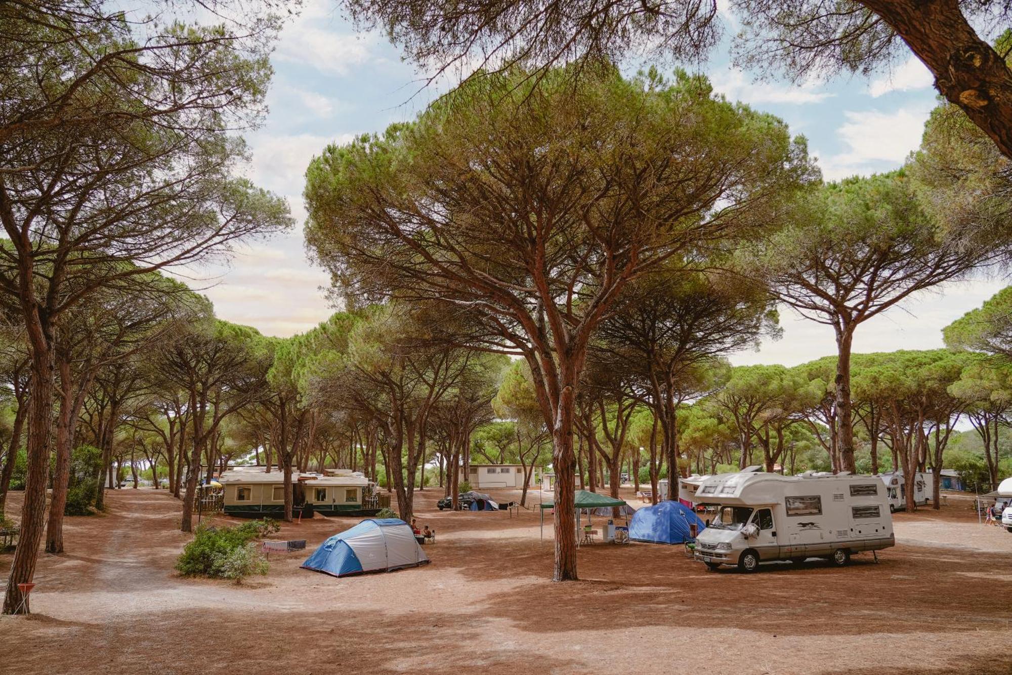 Camping Village S'Ena Arrubia Arborea Dış mekan fotoğraf